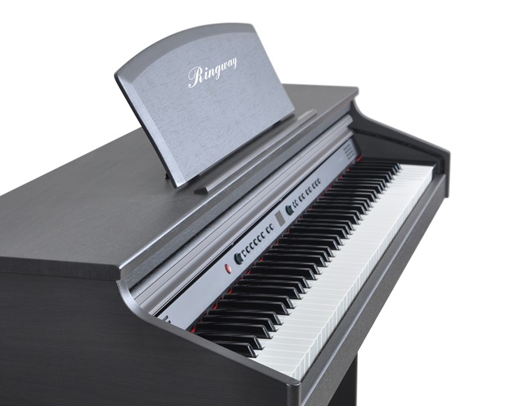 8191591426607575.jpg DSC_0228_副本750.jpg